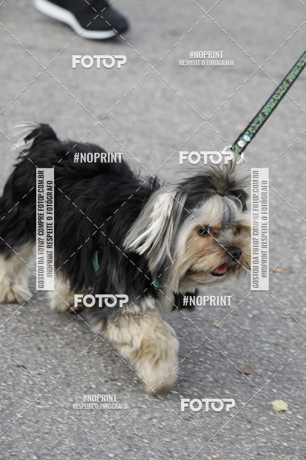 Buy your photos of the eventCorrida Pet Finde on Fotop