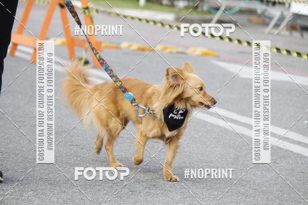 Achetez vos photos de l'vnementCorrida Pet Finde sur Fotop