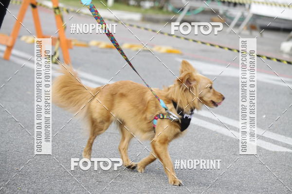 Achetez vos photos de l'vnementCorrida Pet Finde sur Fotop