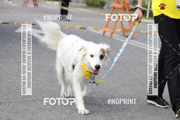 Achetez vos photos de l'vnementCorrida Pet Finde sur Fotop