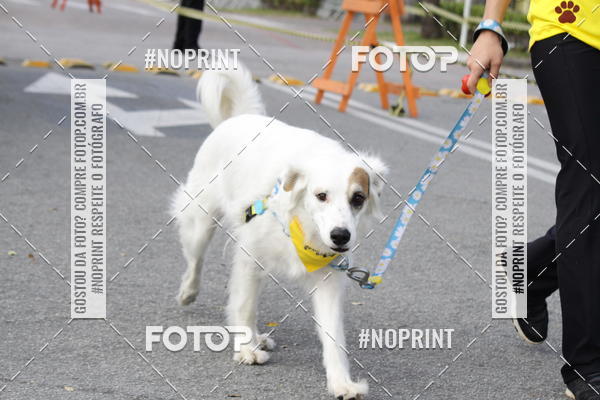 Achetez vos photos de l'vnementCorrida Pet Finde sur Fotop