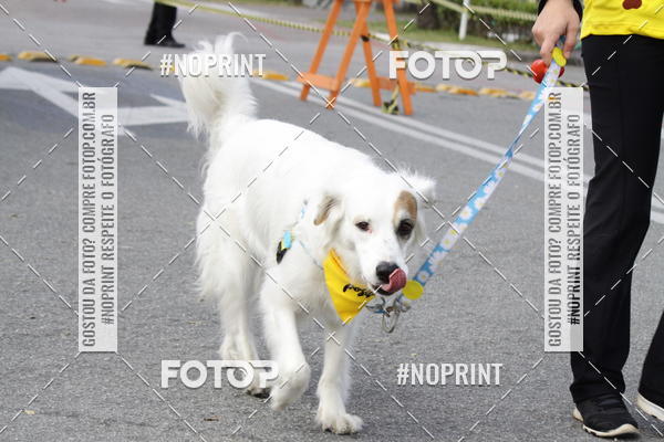 Achetez vos photos de l'vnementCorrida Pet Finde sur Fotop