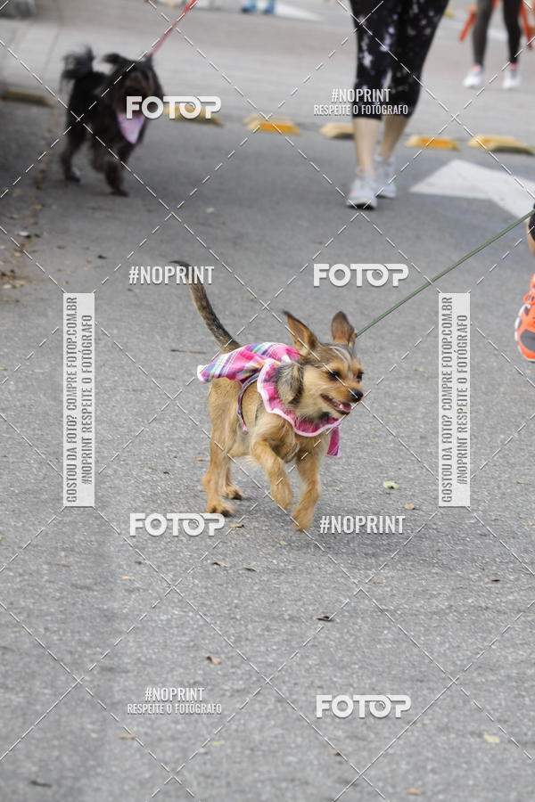Achetez vos photos de l'vnementCorrida Pet Finde sur Fotop