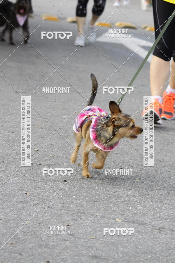 Achetez vos photos de l'vnementCorrida Pet Finde sur Fotop