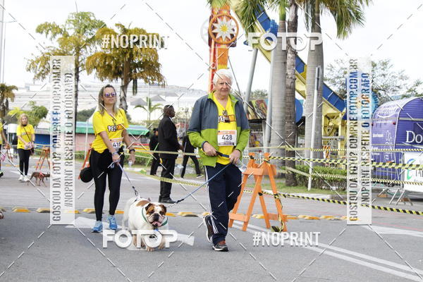 Buy your photos of the eventCorrida Pet Finde on Fotop