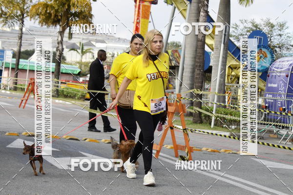 Buy your photos of the eventCorrida Pet Finde on Fotop