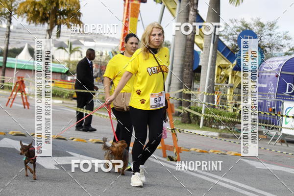 Buy your photos of the eventCorrida Pet Finde on Fotop
