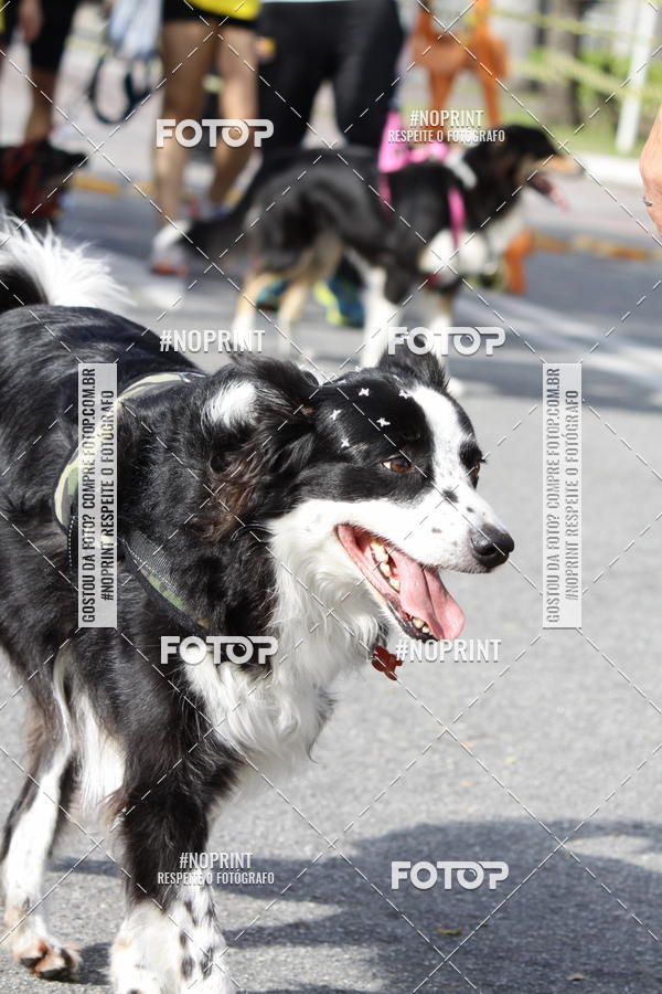 Buy your photos of the eventCorrida Pet Finde on Fotop