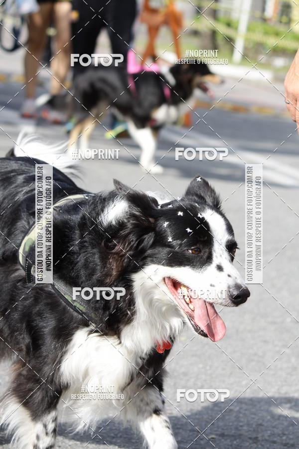Buy your photos of the eventCorrida Pet Finde on Fotop