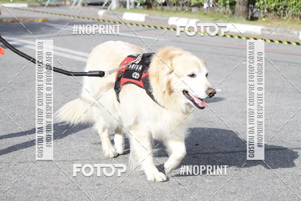 Buy your photos of the eventCorrida Pet Finde on Fotop