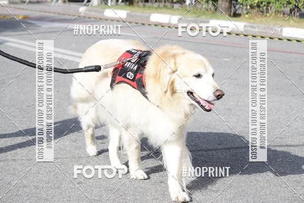 Buy your photos of the eventCorrida Pet Finde on Fotop