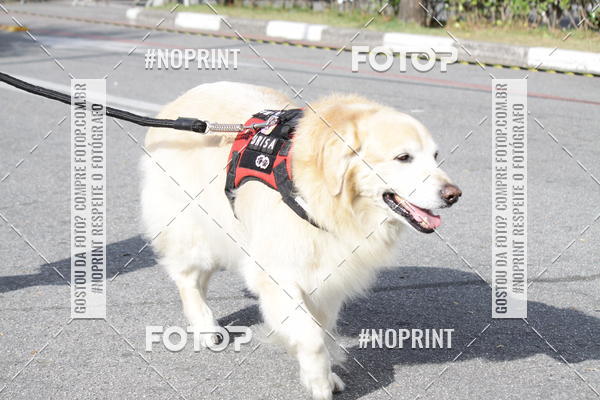 Buy your photos of the eventCorrida Pet Finde on Fotop