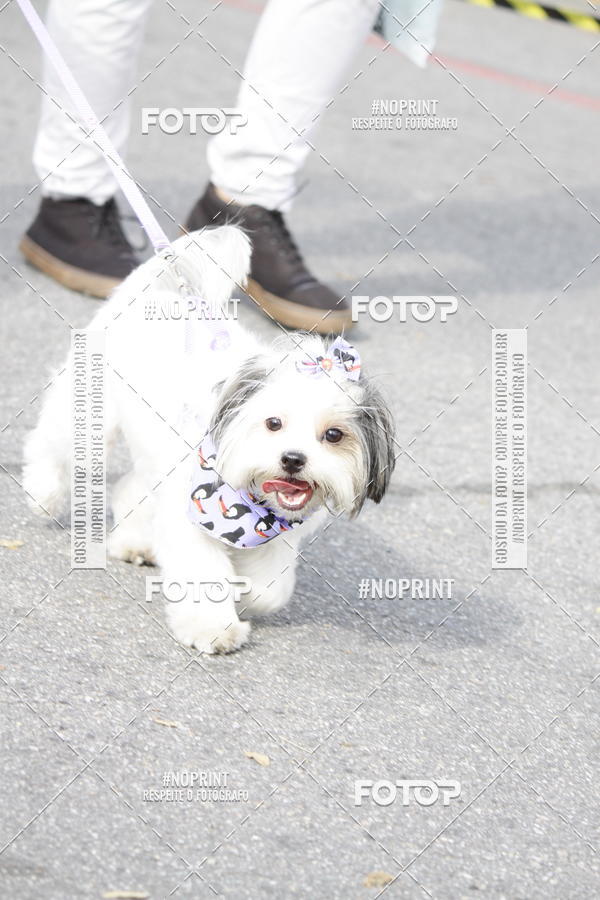 Buy your photos of the eventCorrida Pet Finde on Fotop