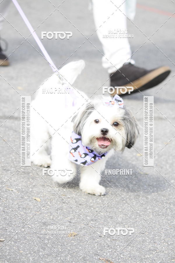 Buy your photos of the eventCorrida Pet Finde on Fotop