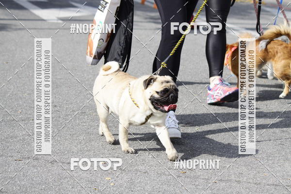 Buy your photos of the eventCorrida Pet Finde on Fotop