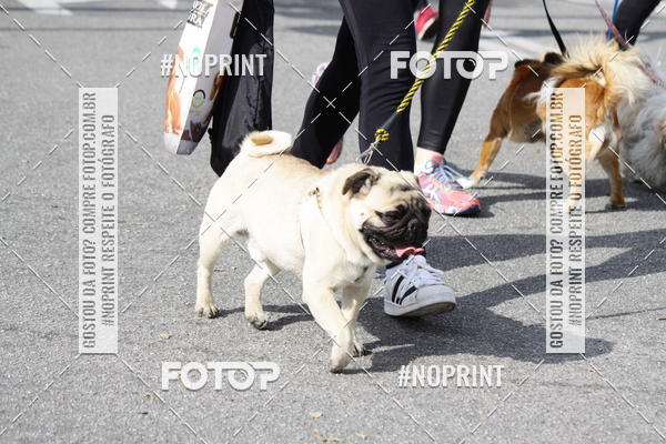 Buy your photos of the eventCorrida Pet Finde on Fotop