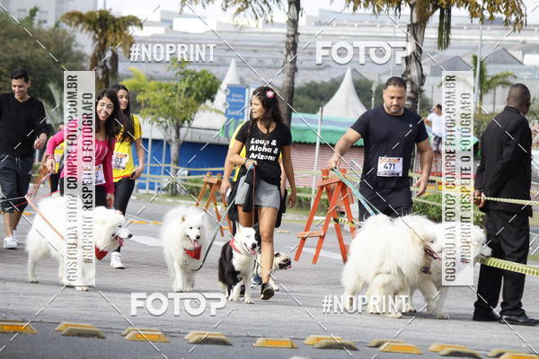 Buy your photos of the eventCorrida Pet Finde on Fotop