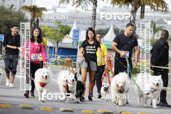 Buy your photos of the eventCorrida Pet Finde on Fotop