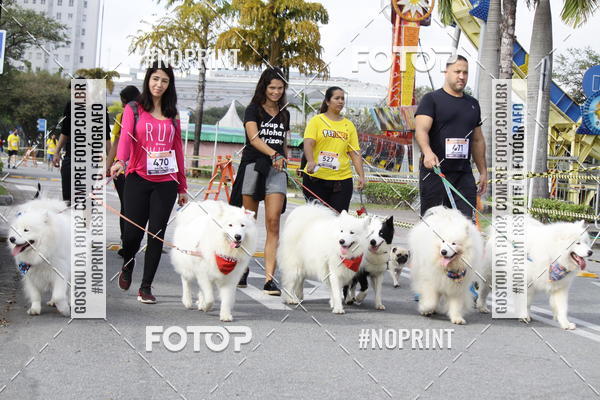 Buy your photos of the eventCorrida Pet Finde on Fotop