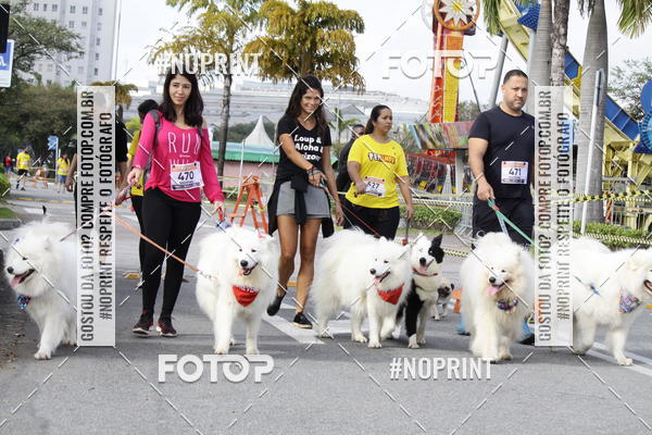 Buy your photos of the eventCorrida Pet Finde on Fotop