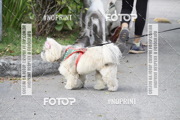 Buy your photos of the eventCorrida Pet Finde on Fotop