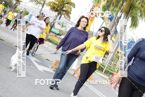 Buy your photos of the eventCorrida Pet Finde on Fotop
