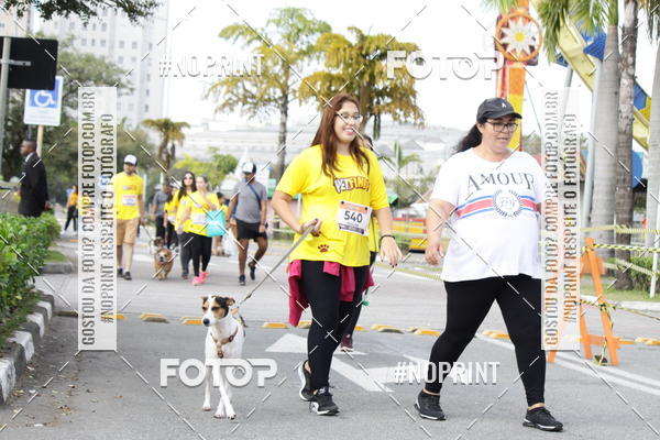 Buy your photos of the eventCorrida Pet Finde on Fotop