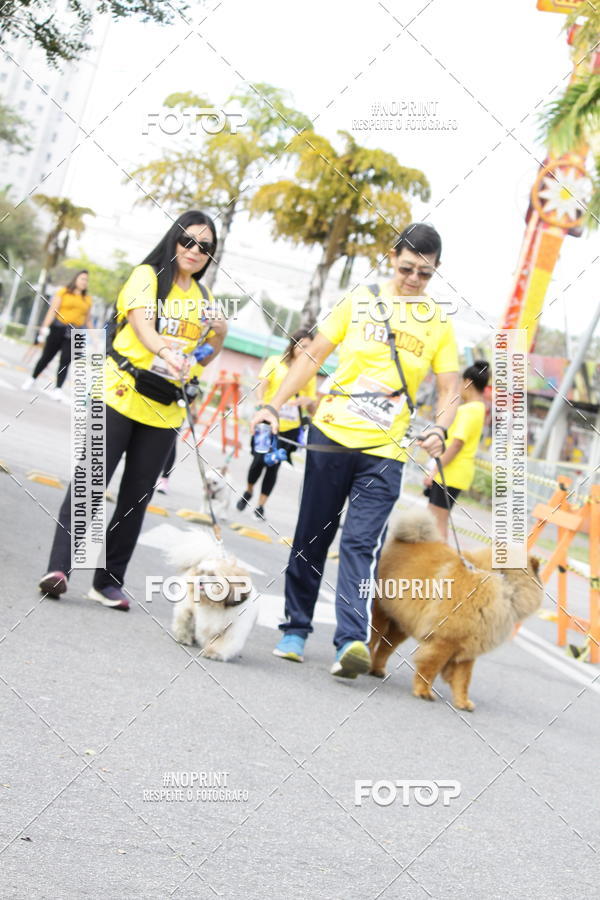 Buy your photos of the eventCorrida Pet Finde on Fotop