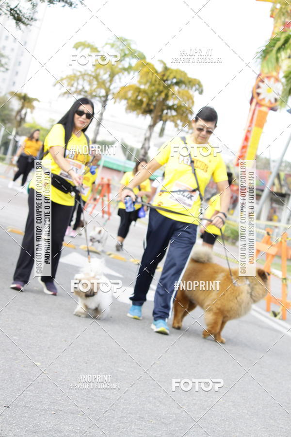 Buy your photos of the eventCorrida Pet Finde on Fotop