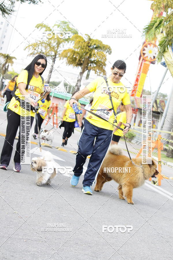 Buy your photos of the eventCorrida Pet Finde on Fotop