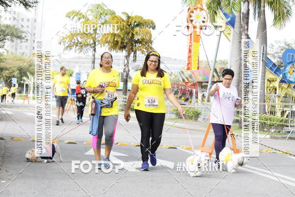 Buy your photos of the eventCorrida Pet Finde on Fotop