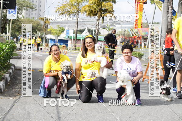 Buy your photos of the eventCorrida Pet Finde on Fotop