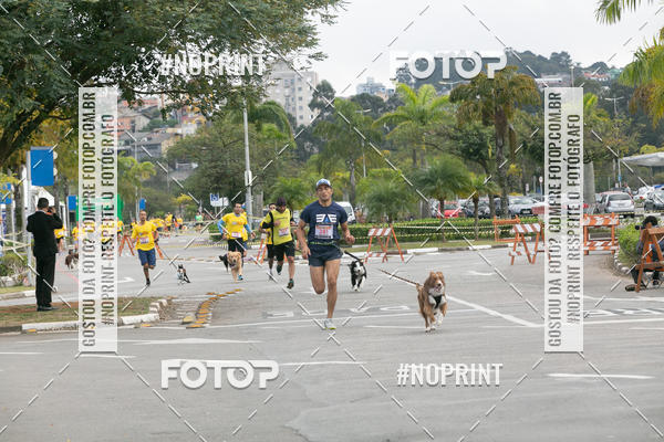 Buy your photos of the eventCorrida Pet Finde on Fotop