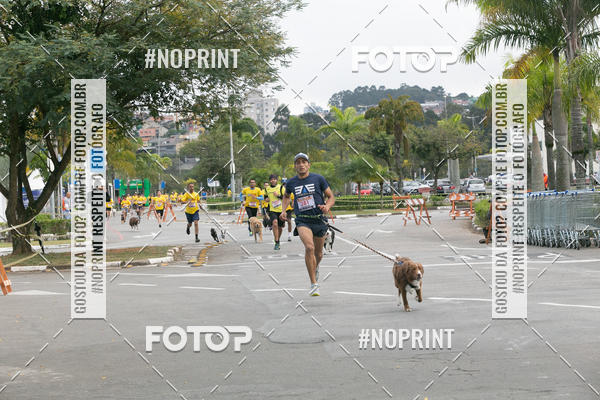Buy your photos of the eventCorrida Pet Finde on Fotop