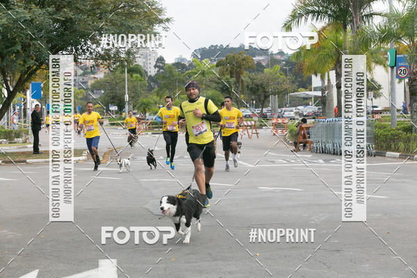 Buy your photos of the eventCorrida Pet Finde on Fotop