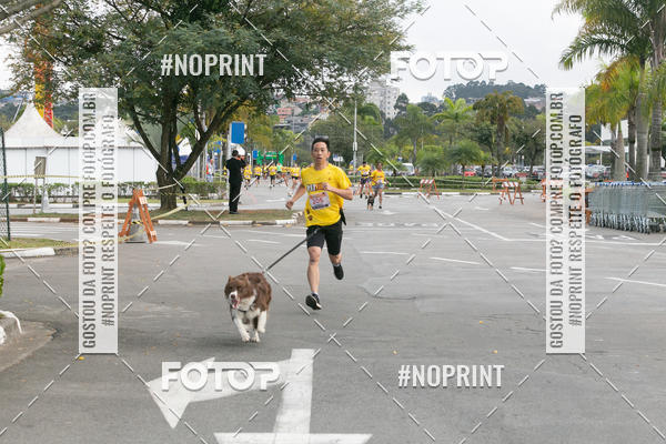 Buy your photos of the eventCorrida Pet Finde on Fotop