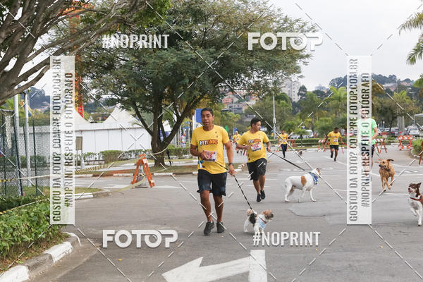 Buy your photos of the eventCorrida Pet Finde on Fotop