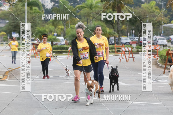 Buy your photos of the eventCorrida Pet Finde on Fotop