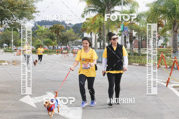 Buy your photos of the eventCorrida Pet Finde on Fotop