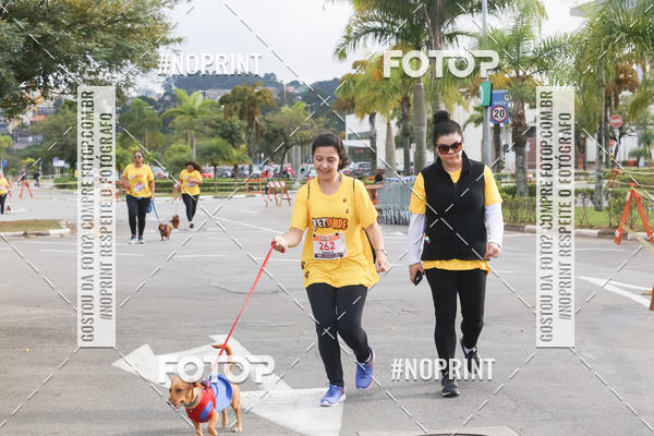 Buy your photos of the eventCorrida Pet Finde on Fotop