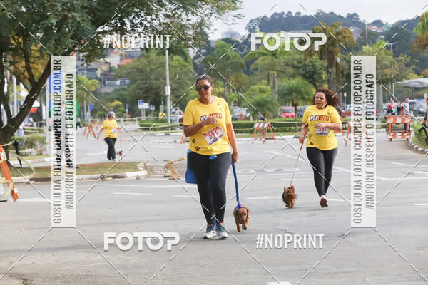 Buy your photos of the eventCorrida Pet Finde on Fotop