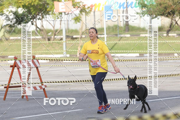 Buy your photos of the eventCorrida Pet Finde on Fotop