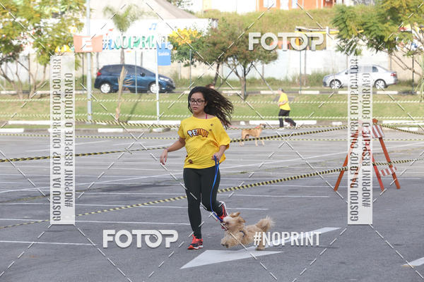 Buy your photos of the eventCorrida Pet Finde on Fotop