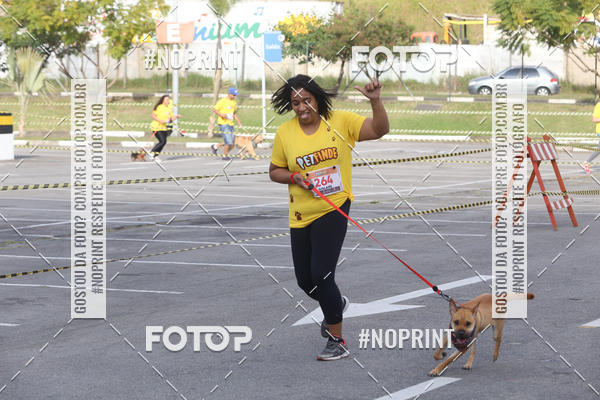 Buy your photos of the eventCorrida Pet Finde on Fotop