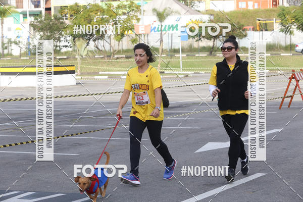 Buy your photos of the eventCorrida Pet Finde on Fotop