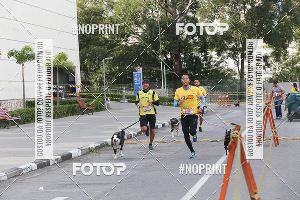 Buy your photos of the eventCorrida Pet Finde on Fotop