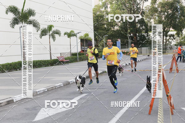 Buy your photos of the eventCorrida Pet Finde on Fotop