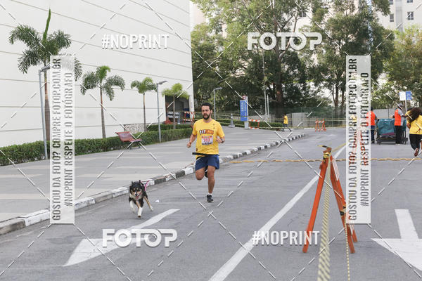 Buy your photos of the eventCorrida Pet Finde on Fotop