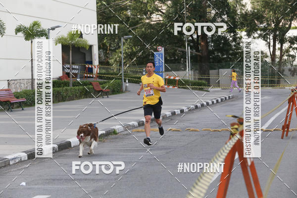 Buy your photos of the eventCorrida Pet Finde on Fotop