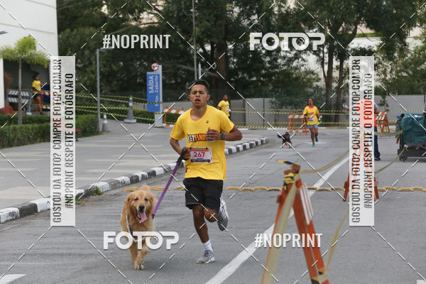 Buy your photos of the eventCorrida Pet Finde on Fotop
